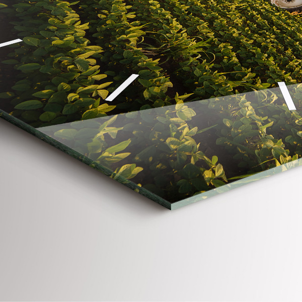 Ceas pătrat de perete din sticlă Tractor într-un câmp agricol