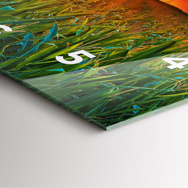 Ceas pătrat de perete din sticlă Floarea soarelui în pajiște