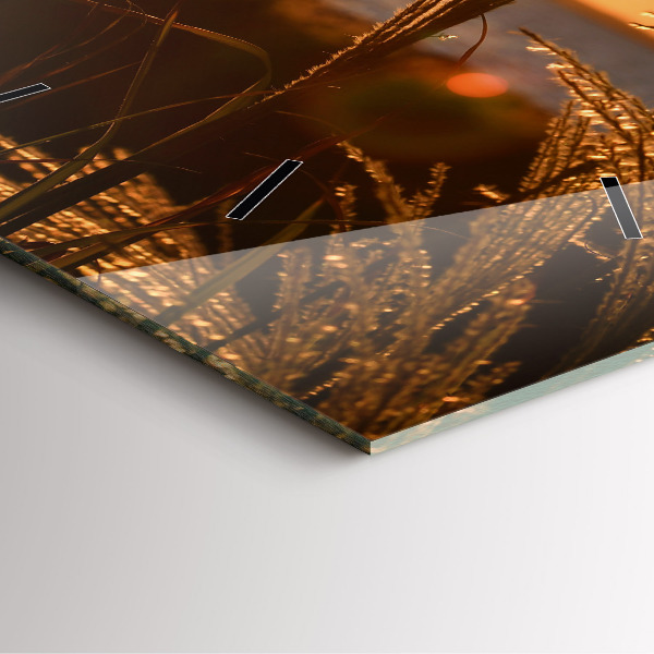 Ceas pătrat de perete din sticlă Grâu în soarele auriu